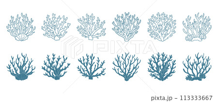 Set of coral reefs or seaweeds, underwater plants. Set of sea coral icons. Sketch, illustration. Vector Set of coral reefs or seaweeds, underwater plants. Set of sea coral icons. Sketch, illustration. Vector 113333667