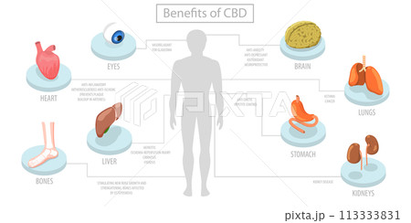 3D Isometric Flat  Conceptual Illustration of Benefits Of CBD 113333831