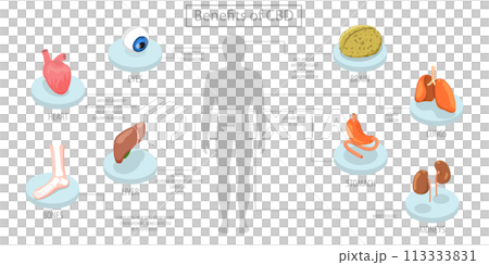 3D Isometric Flat  Conceptual Illustration of Benefits Of CBD 113333831