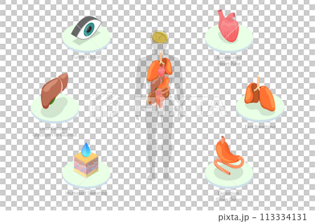 3D Isometric Flat  Conceptual Illustration of Stress Response 113334131