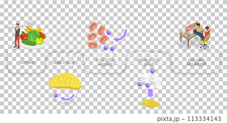 3D Isometric Flat  Conceptual Illustration of Insulin resistance 113334143
