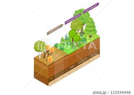 3D Isometric Flat  Conceptual Illustration of Ecological Recovery 113334346