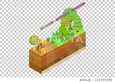 3D Isometric Flat  Conceptual Illustration of Ecological Recovery 113334346