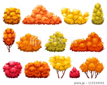 Cartoon autumn bushes. Garden yellow orange and red plants, fading hedge, change of season, deciduous garden trees, withered decorative shrub, park plants, landscape isolated vector set Cartoon autumn bushes. Garden yellow orange and red plants, fading hedge, change of season, deciduous garden trees, withered decorative shrub, park plants, landscape isolated vector set 113334541