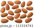 Almond  set isolated on white background. Single nuts, perfectly lit 113334741