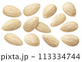 Blanched almond set isolated on white background. Package design elements 113334744