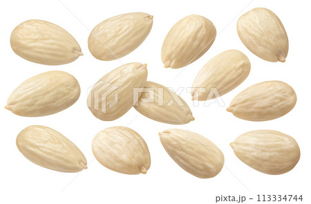 Blanched almond set isolated on white background. Package design elements 113334744
