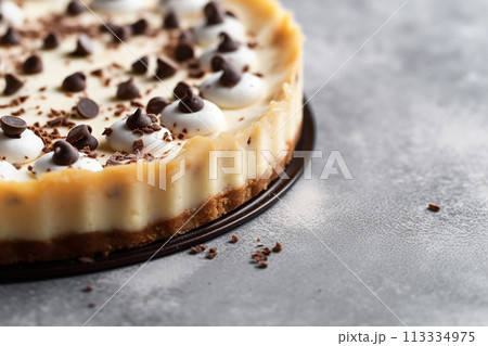 A chocolate cheesecake on a dark surface. 113334975