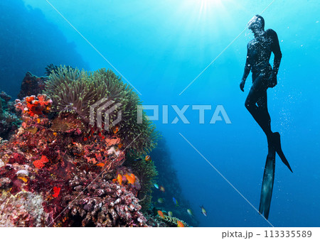 Silhouette of free diver exploring coral reef. Silhouette of free diver exploring coral reef. 113335589