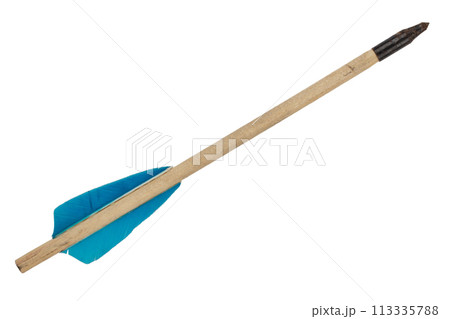 Wooden crossbow bolt 113335788