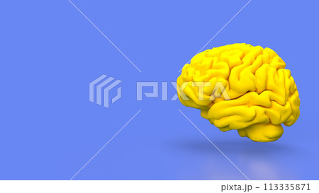 The yellow Brain for sci or education concept 3d rendering. The yellow Brain for sci or education concept 3d rendering. 113335871