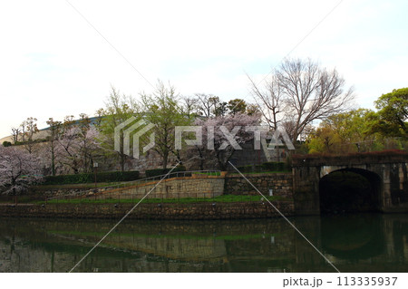 春 早朝の桜 大阪城周辺 春 早朝の桜 大阪城周辺 113335937