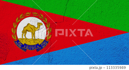 Flag and coat of arms of State of Eritrea on a textured background. Concept collage. 113335989