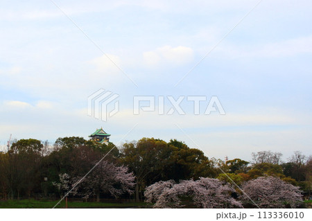 春 大阪城と早朝の桜 春 大阪城と早朝の桜 113336010