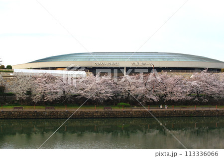 春 早朝の桜 大阪城周辺 春 早朝の桜 大阪城周辺 113336066