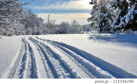 雪が積もった森のタイヤ痕 113336290
