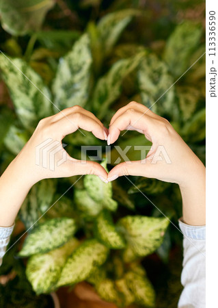 Woman's hands shaking heart in front of green blossoms 113336590