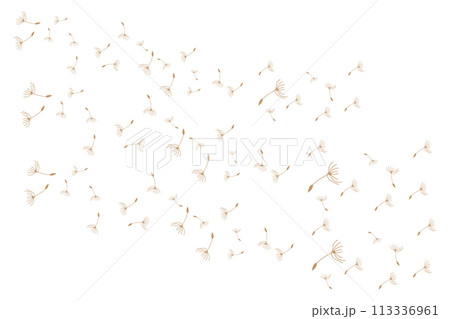 Dandelion Logo, Vector Plant Dandelion flower, Design Icon Template 113336961