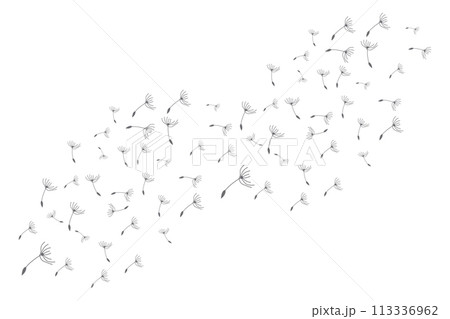 Dandelion Logo, Vector Plant Dandelion flower, Design Icon Template Dandelion Logo, Vector Plant Dandelion flower, Design Icon Template 113336962