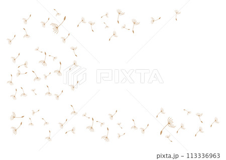 Dandelion Logo, Vector Plant Dandelion flower, Design Icon Template Dandelion Logo, Vector Plant Dandelion flower, Design Icon Template 113336963