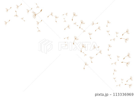 Dandelion Logo, Vector Plant Dandelion flower, Design Icon Template Dandelion Logo, Vector Plant Dandelion flower, Design Icon Template 113336969