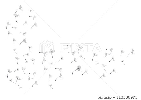 Dandelion Logo, Vector Plant Dandelion flower, Design Icon Template Dandelion Logo, Vector Plant Dandelion flower, Design Icon Template 113336975