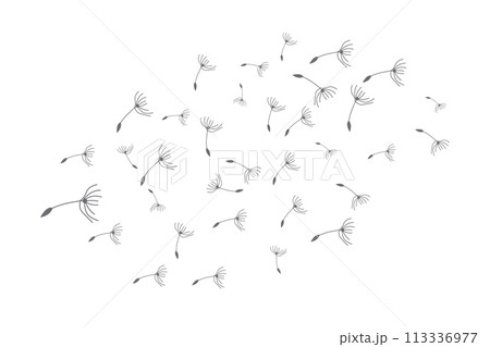 Dandelion Logo, Vector Plant Dandelion flower, Design Icon Template Dandelion Logo, Vector Plant Dandelion flower, Design Icon Template 113336977