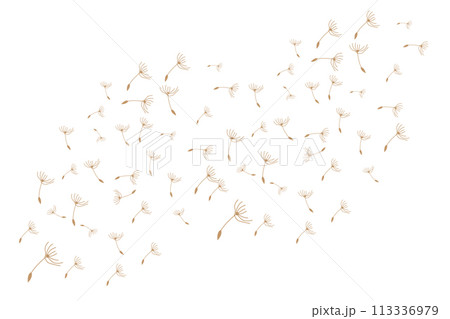 Dandelion Logo, Vector Plant Dandelion flower, Design Icon Template 113336979