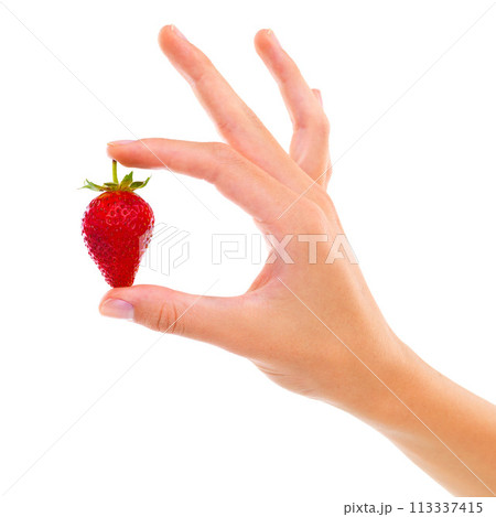 Hand, strawberry and healthy food for nutrition, wellness and weight loss with ingredient isolated on white background. Person with fruit, sweet or sour with diet, red berries for detox and vegan 113337415