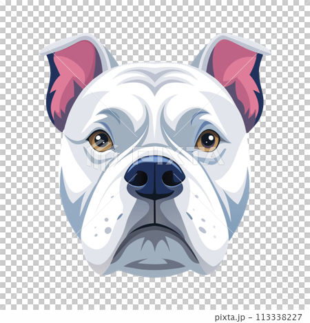 Bold and Striking American Bulldog Face Illustration: 3D Logo Artwork Clipart Isolated for Unique Brand Identity 113338227