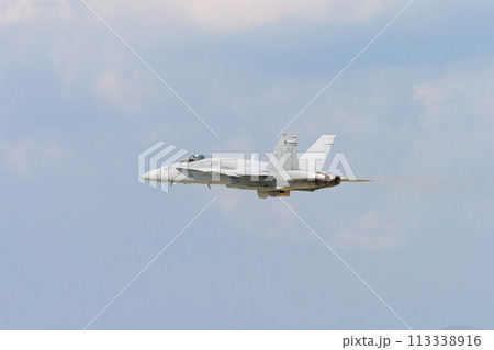 アメリカ海軍F/A-18Cホーネット離陸 113338916