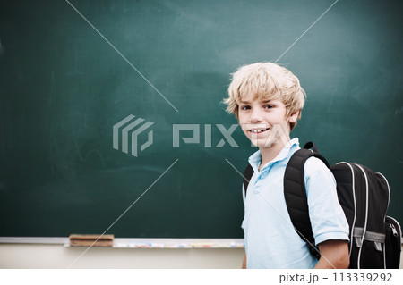 Hes open to so many new ideas. Portrait of a smiling young boy standing alongside copyspace at a blackboard. 113339292