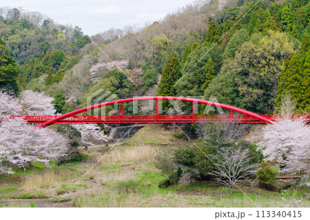 王滝湖かけ橋と桜(愛知県豊田市) 王滝湖かけ橋と桜(愛知県豊田市) 113340415