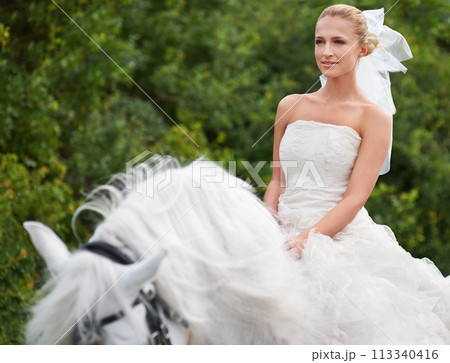Bride, woman and riding with horse outdoor or happiness for celebration, marriage and confidence in countryside. Wedding, person and stallion on lawn in field with smile, dress and animal at ceremony Bride, woman and riding with horse outdoor or happiness for celebration, marriage and confidence in countryside. Wedding, person and stallion on lawn in field with smile, dress and animal at ceremony 113340416