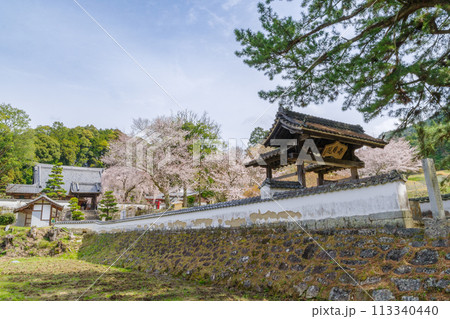 松平郷・光月院の桜（愛知県豊田市） 113340440