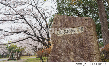 【千葉県千葉市】おゆみ野はるのみち公園と桜 113340553