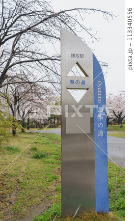 【千葉県千葉市】おゆみ野はるのみち公園と桜 【千葉県千葉市】おゆみ野はるのみち公園と桜 113340556