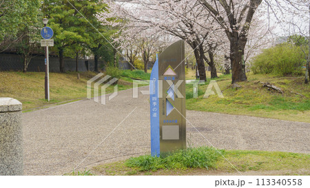 【千葉県千葉市】おゆみ野四季の道・春の道(有吉公園付近)と桜 113340558