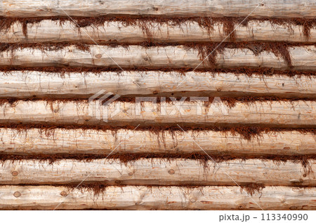 New log wall with brown moss New log wall with brown moss 113340990