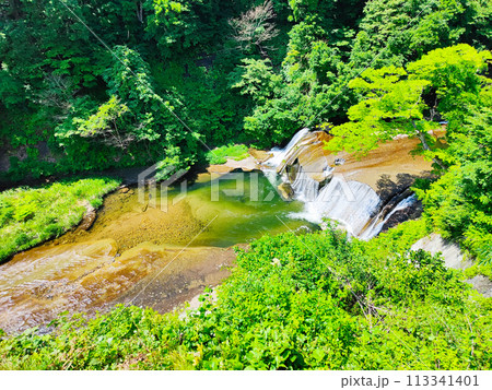 滑津大滝:滝見台 滑津大滝:滝見台 113341401