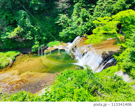 滑津大滝:滝見台 滑津大滝:滝見台 113341406