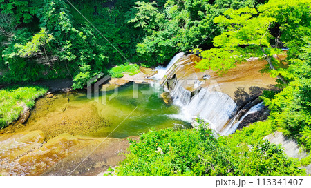 滑津大滝:滝見台 滑津大滝:滝見台 113341407