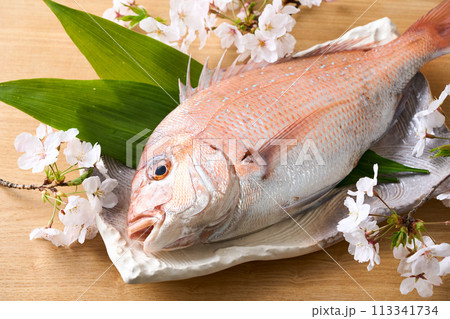 皿に乗せた真鯛　桜鯛 113341734