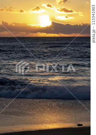 メラメラ上る初日の出07 113341903