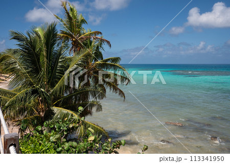 Seascape of Caribbean sea Seascape of Caribbean sea 113341950