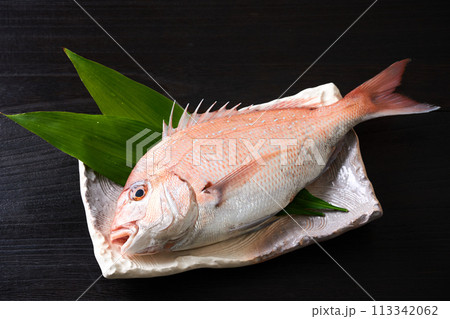 皿に乗せた真鯛　 113342062