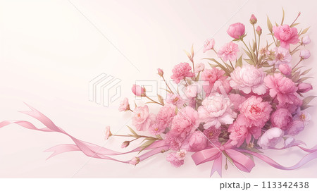 母の日　カーネーション 113342438