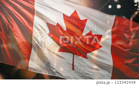 風に靡くカナダ国旗とカナダのイメージのコラージュ 113342439