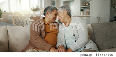 Home, hug and senior couple with love, relax and retirement with romance, bonding and relationship. Romantic, old man and elderly woman embrace, commitment and laughing with trust, marriage and relax 113342450