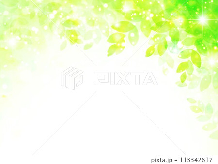 新緑イメージ水彩風背景 113342617